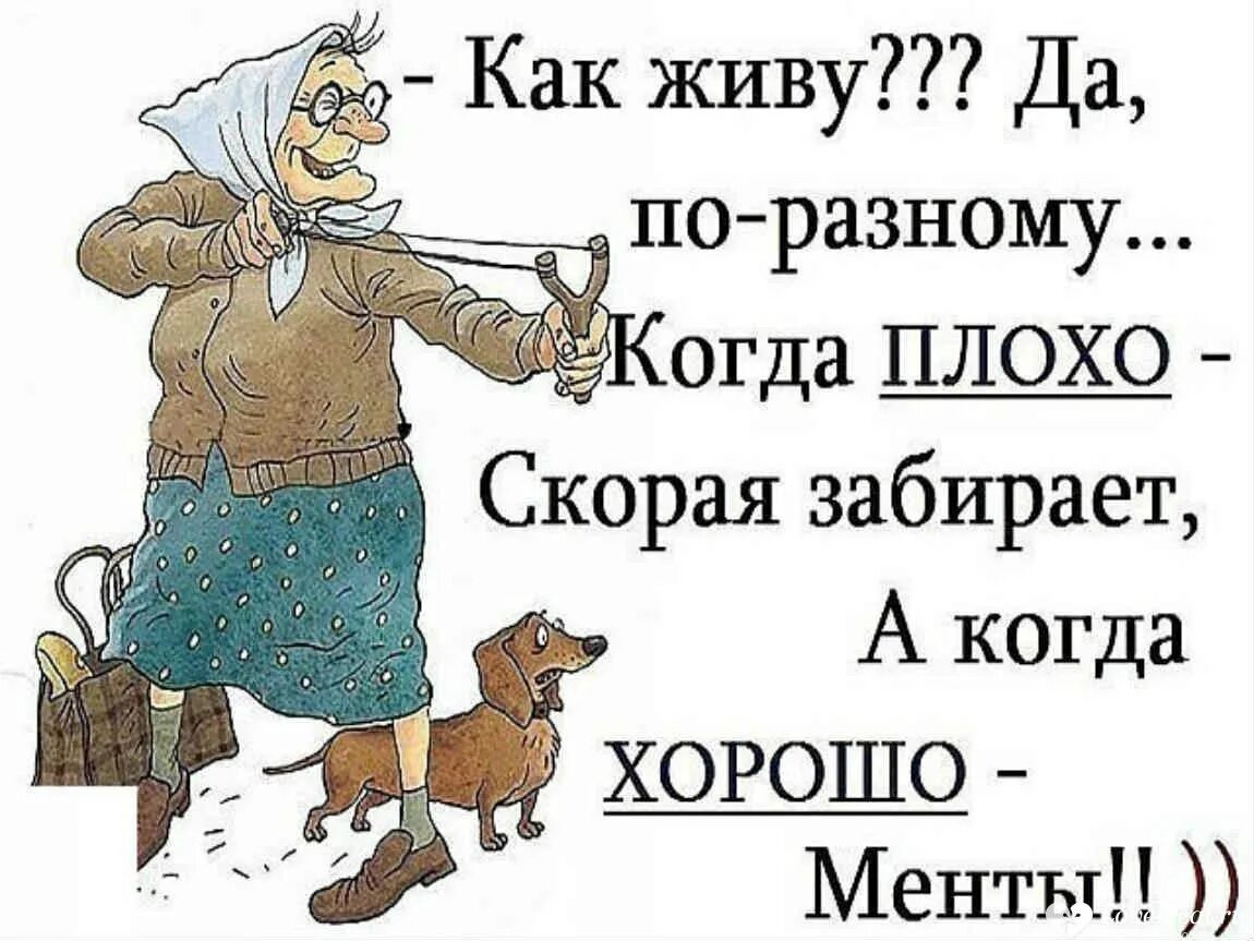 Все жизнь заберет