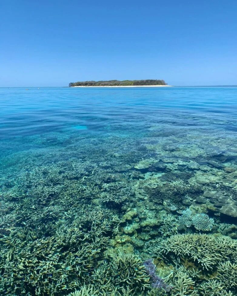 У берегов австралии расположен остров. Остров под водой. Райский риф. Зеленое побережье. Коралловый залив.
