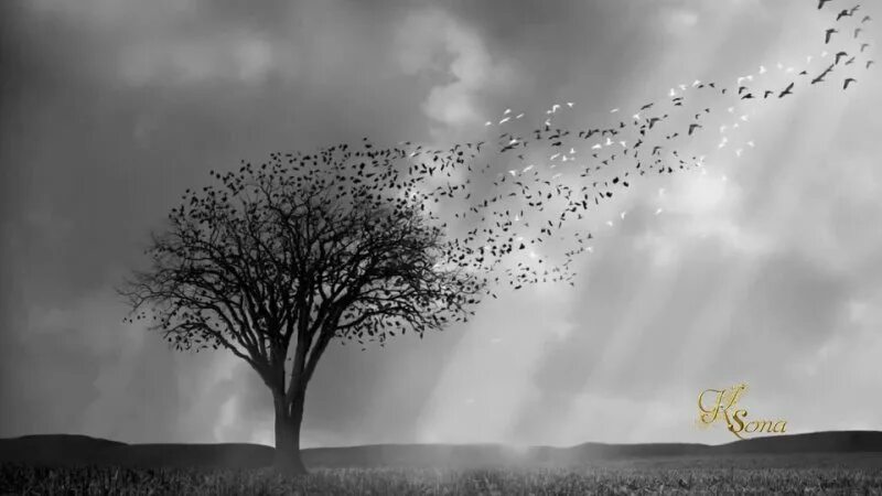 пикник трепетные птицы. пикник трепетные птицы. кораблик любви картинки. и застыла душа и слова невпопад. расскажите птицы пугачева ноты для фортепиано.