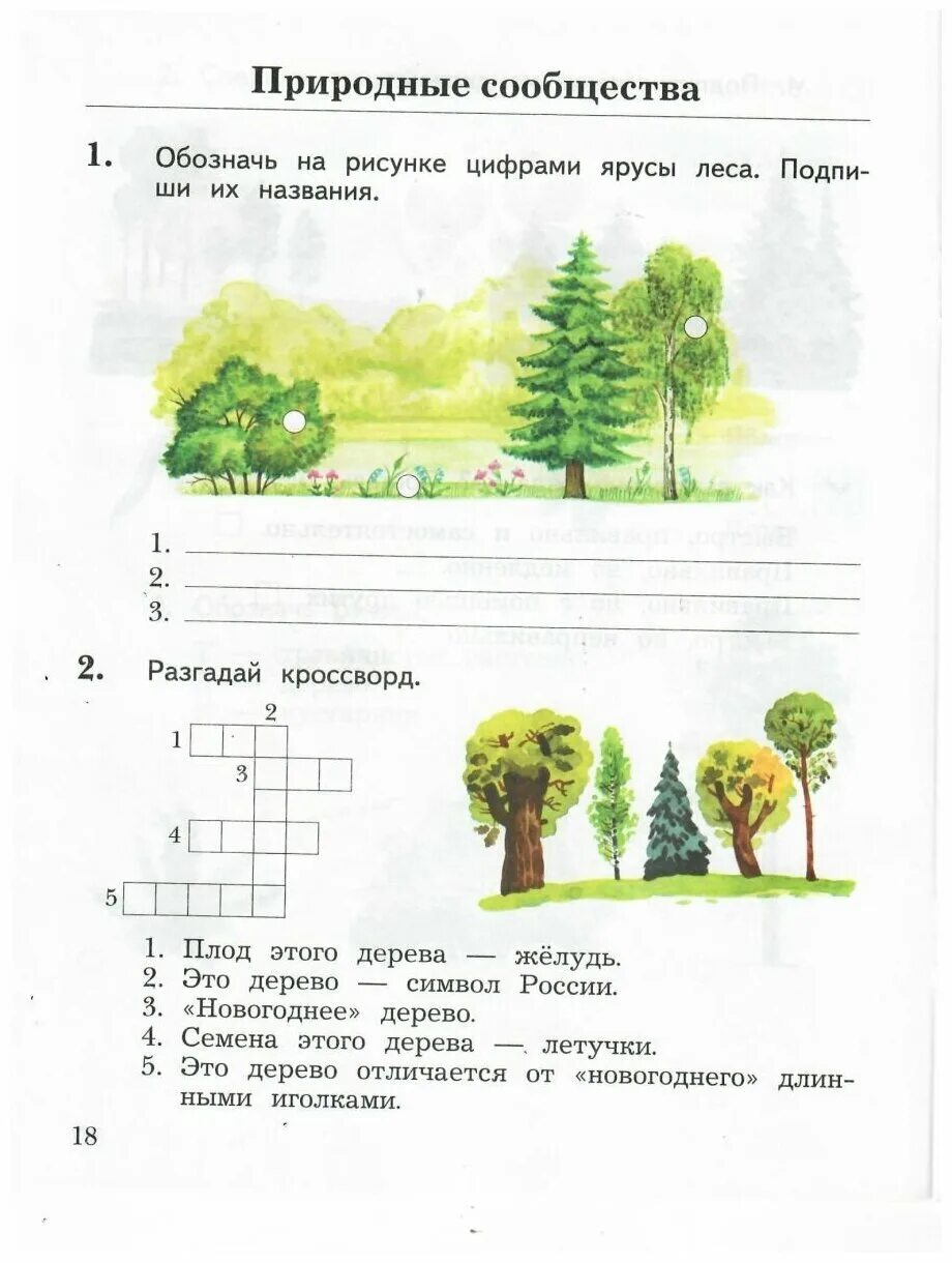 Природное сообщество лес ярусы. Проверочная по окружающему миру 1 класс начальная школа 21 века. Природные сообщества задания. Окружающий мир 2 класс задания. Задания на тему природное сообщество.