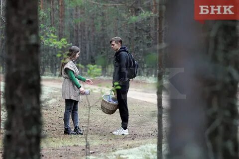Заказник белый сыктывкар