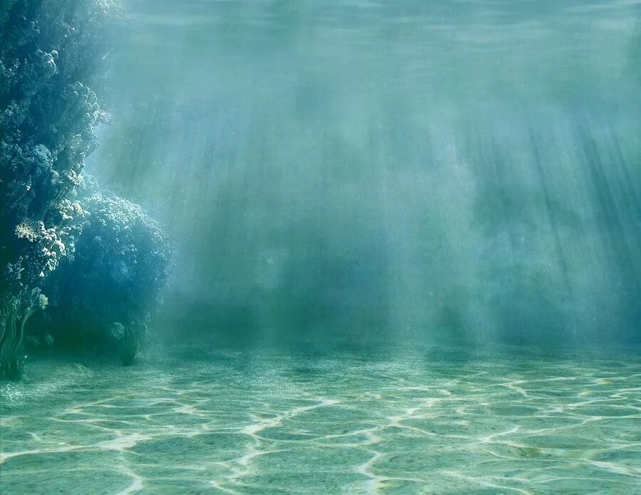 Пелена воды. Под водой. Подводный пейзаж. В толще воды. Фон море под водой.