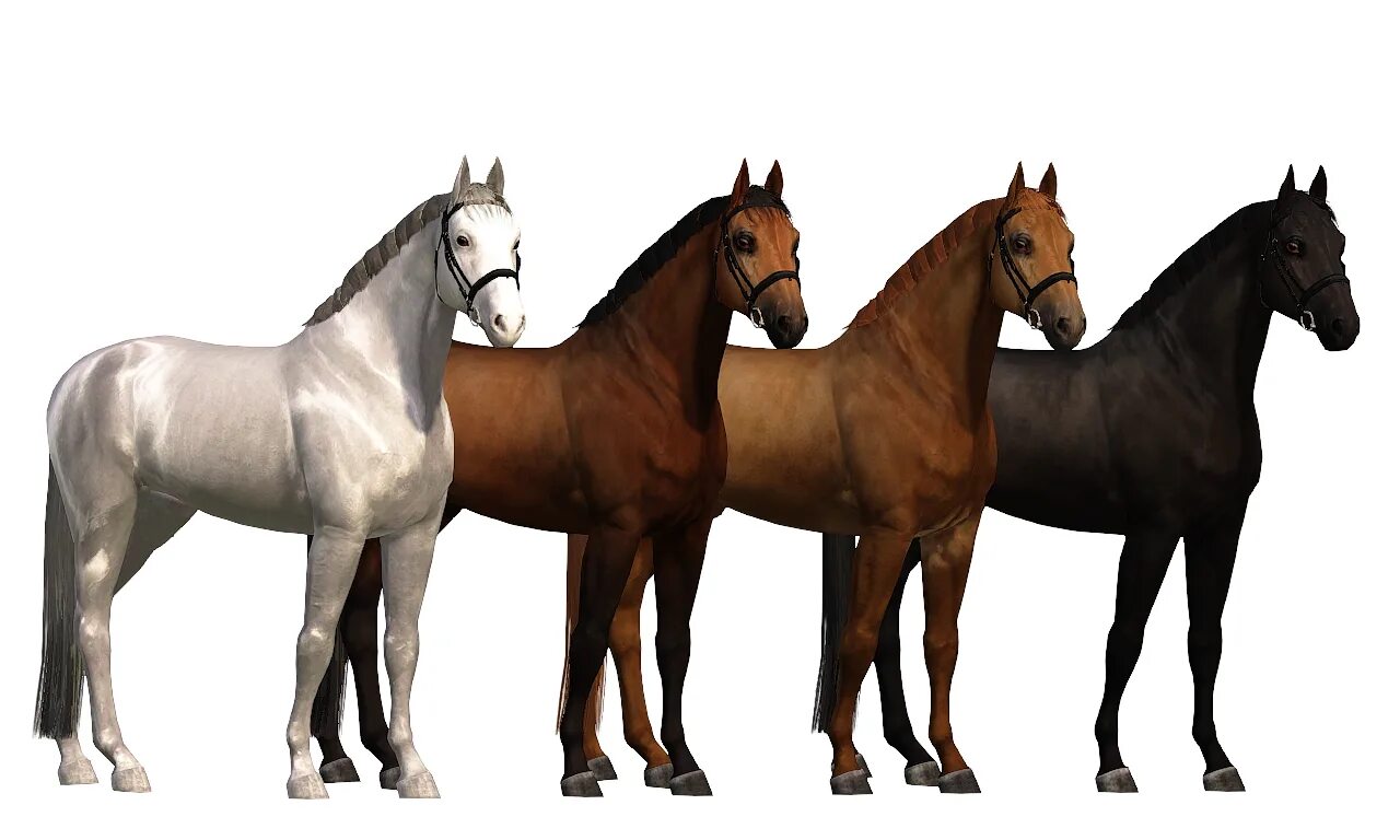 Horse sim. SIMS 4 лошади. Симс 4 кони. SIMS 3 лошади. Симс 3 кони.