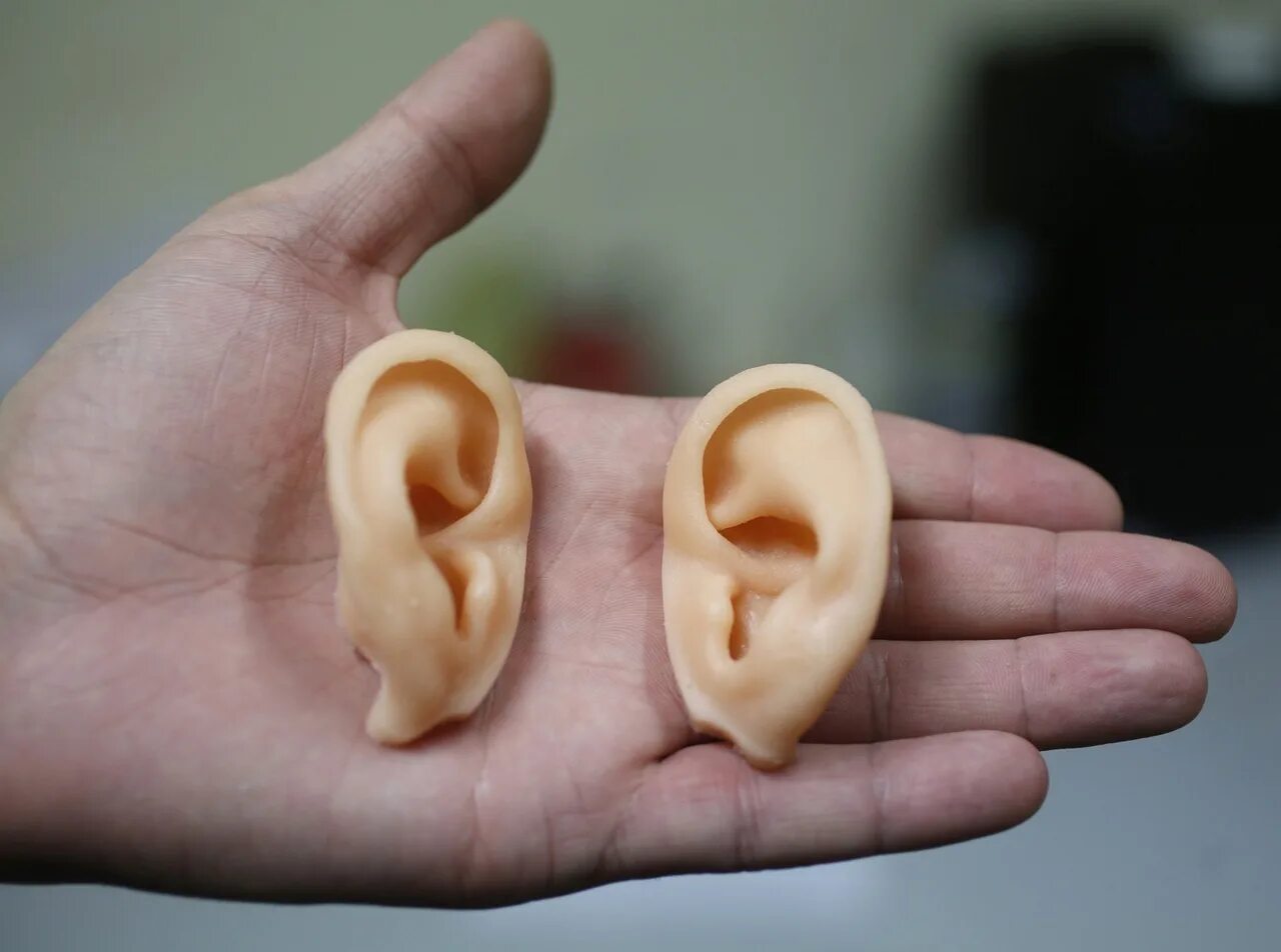 Отрезанные человеческие уши. Почему один террорист без уха