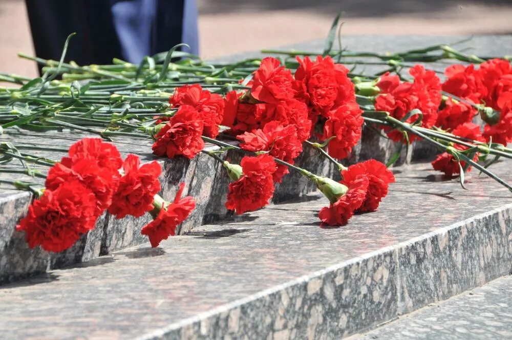 Обелиск 9 мая. Гвоздики у обелиска. Гвоздики на памятник. Гвоздики цветы. Гвоздики на мемориале.