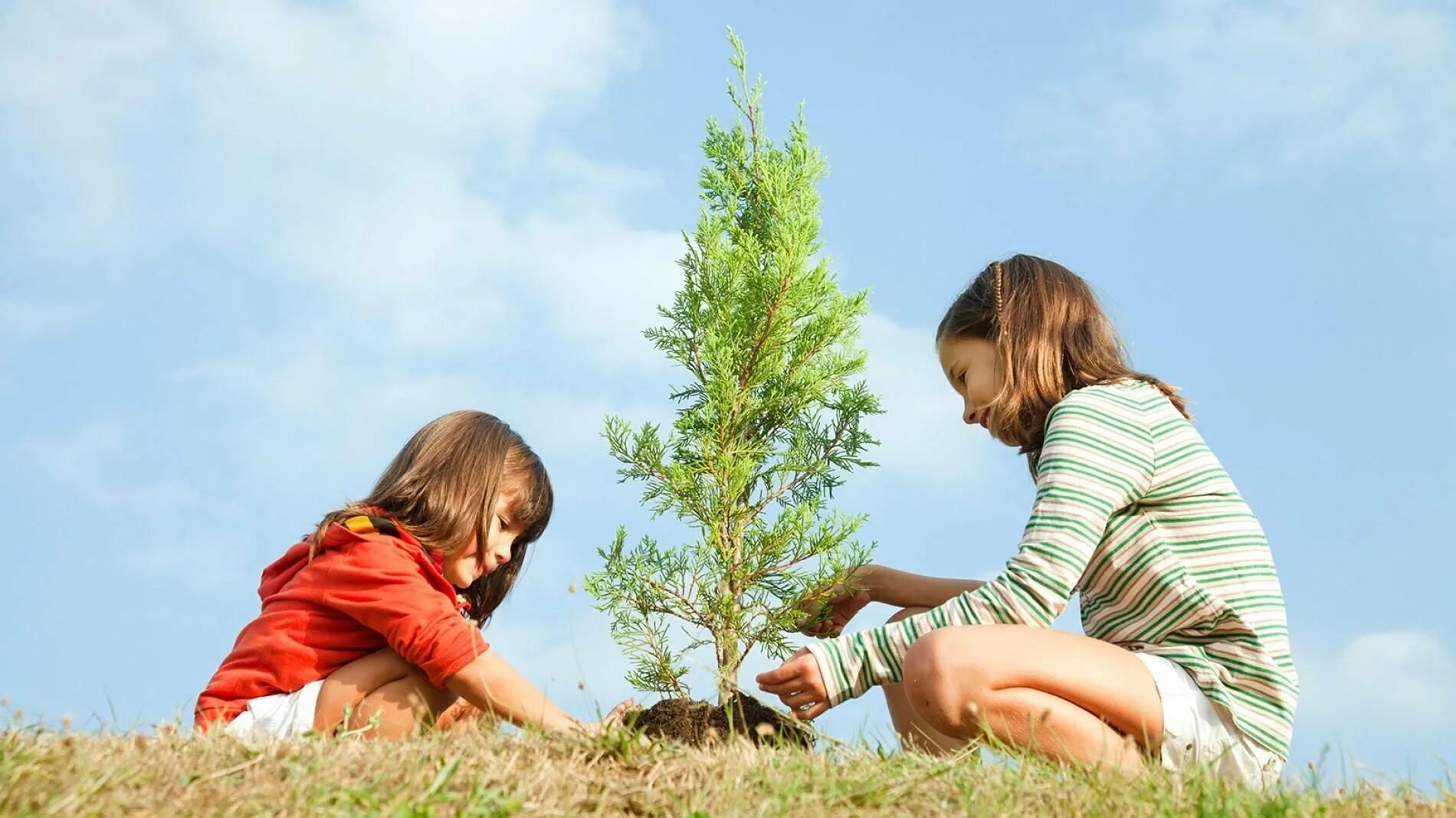 Забота о растении. Дети и природа. Человек и природа. Детям об экологии. Гармония человека и природы.