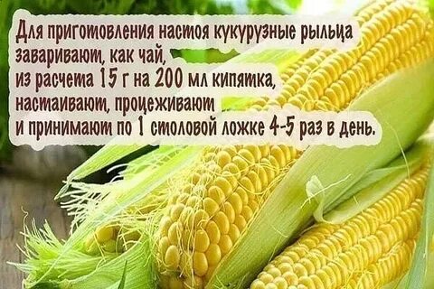 Рыльца кукурузы для чего применяются