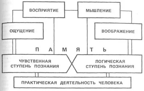 Память и деятельность психология