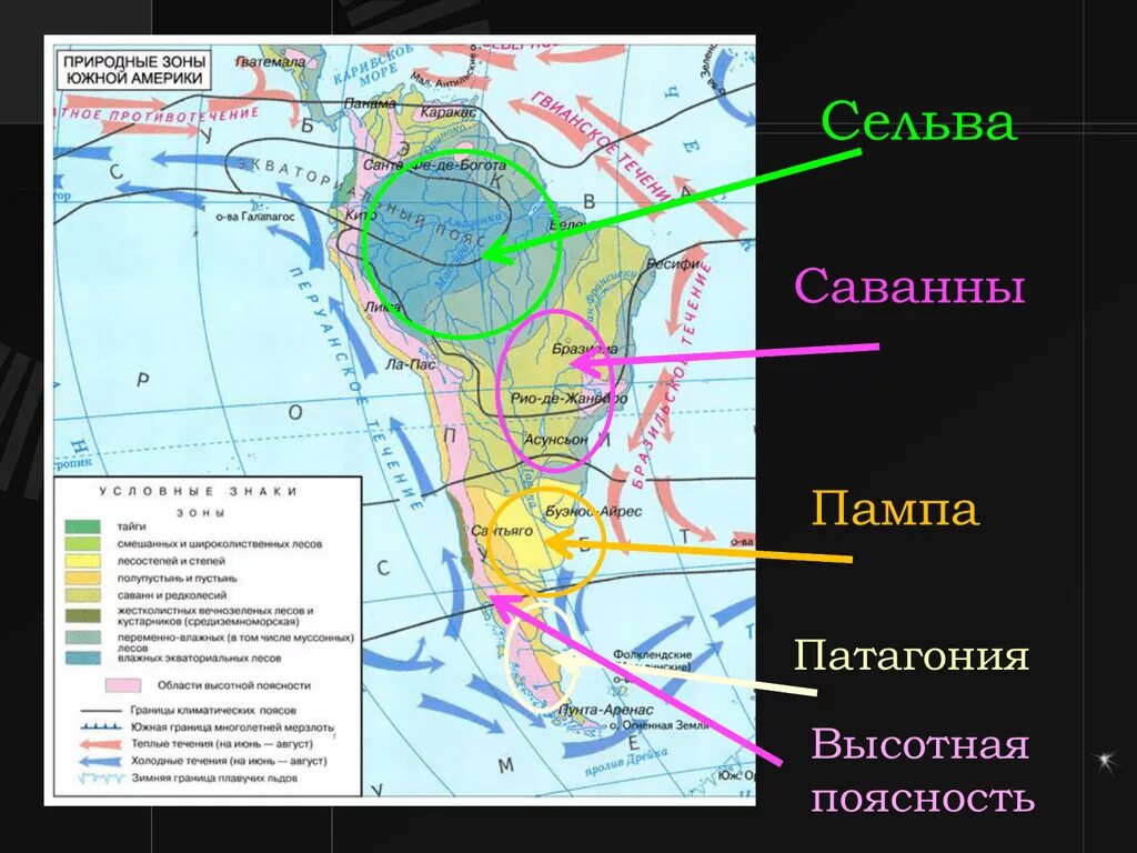 Презентация природные зоны южной америки 7 класс. Природные зоны Южной Америки 7. Карта природных зон Южной Америки. Природные зоны в Южной Америке с поясами. Пампа на карте Южной Америки.