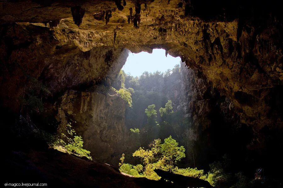 Пещера таврида в крыму. Пещера альтамира. Как открыть пещеру. Пещера таврида экскурсии. Саблинские пещеры в тосненском районе.