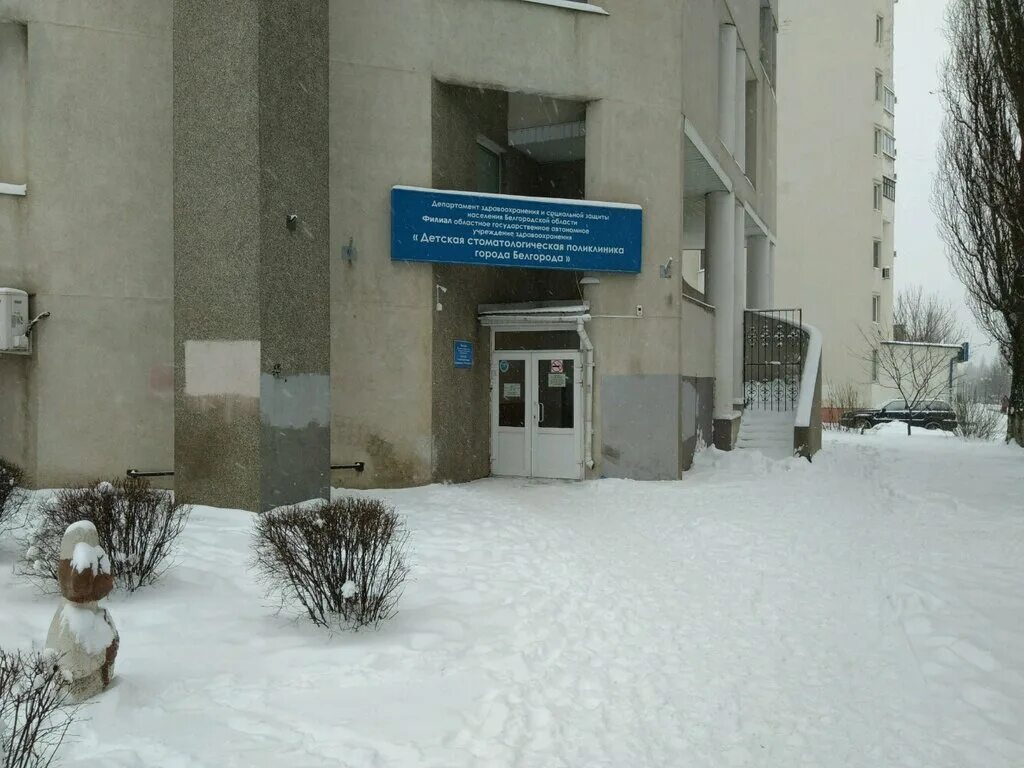 Детская стоматологическая поликлиника белгород. Детская стоматология кабинет. Детская стоматологическая поликлиника белгород. Стоматология белгород богдана хмельницкого. Детские кабинеты стоматологии.