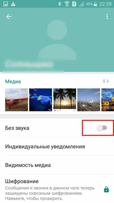 Звук оповещения ватсап. Нет звука в ВК. Как уменьшить громкость уведомлений в ватсапе.