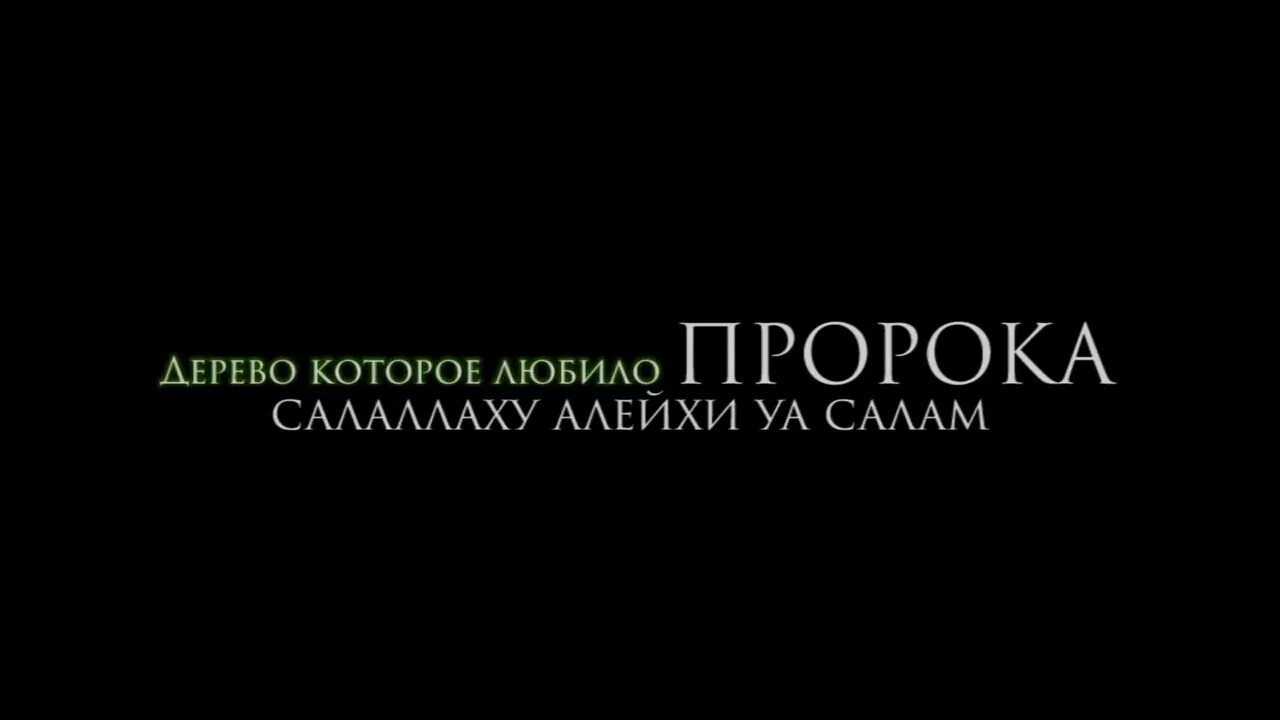 Уа саллям. Пророк Мухаммад саллаллаху алейхи. Пророк Мухаммед саалаалехим. Мухаммад саллаллаху алейхи ва саллям сказал. Пророк Мухаммад саллаллаху алейхи сказал.