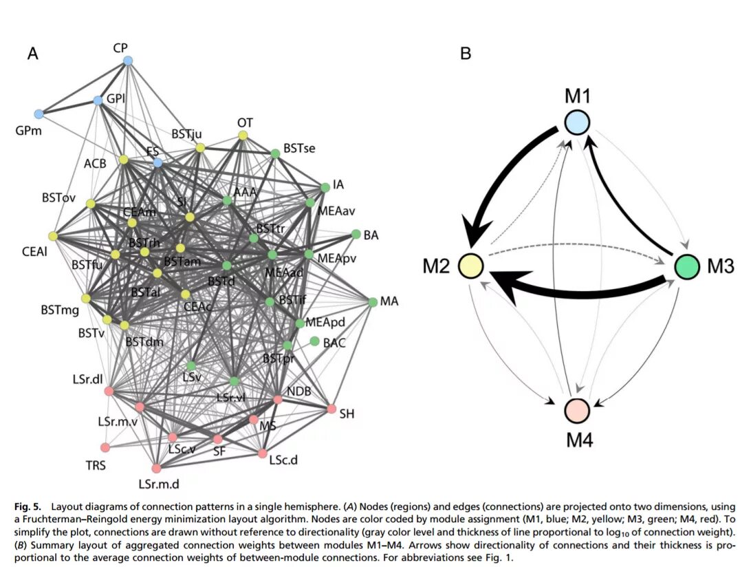 Show connect. Fruchterman-Reingold Force-directed algorithm. Mixed Layout algorithm.