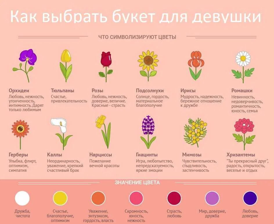 Сколько роз в россии. Значение цветов в букете. Что означают цветы. Что символизируют цветы. Обозначение цветка.