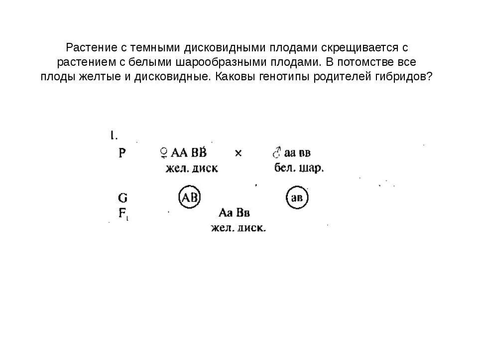 Каковы генотипы родителей. Растение с темными дисковидными плодами скрещиваются. Потомство растений. В потомстве растений тыквы с белыми дисковидными плодами.