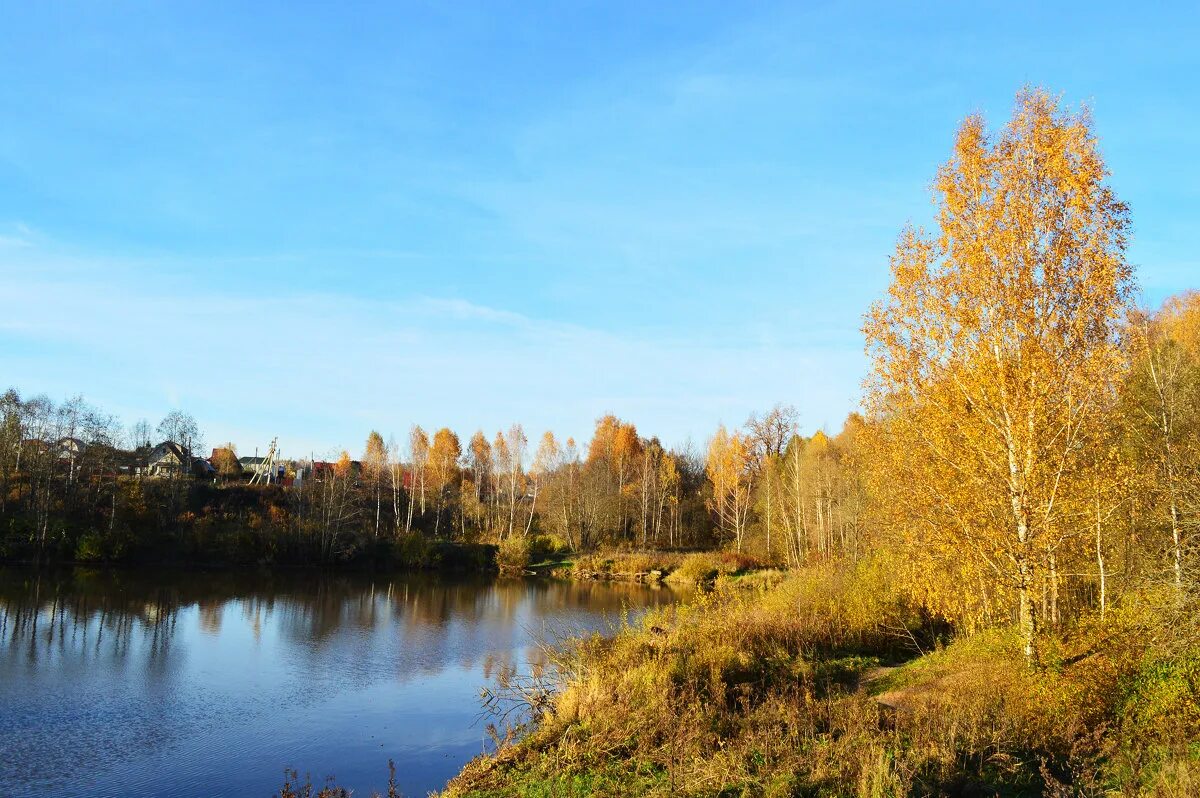 осень озеро. желтый пруд в салтыковке. блюдечкин пруд. серебряный пруд салтыковка. жёлтое озеро в салтыковке.