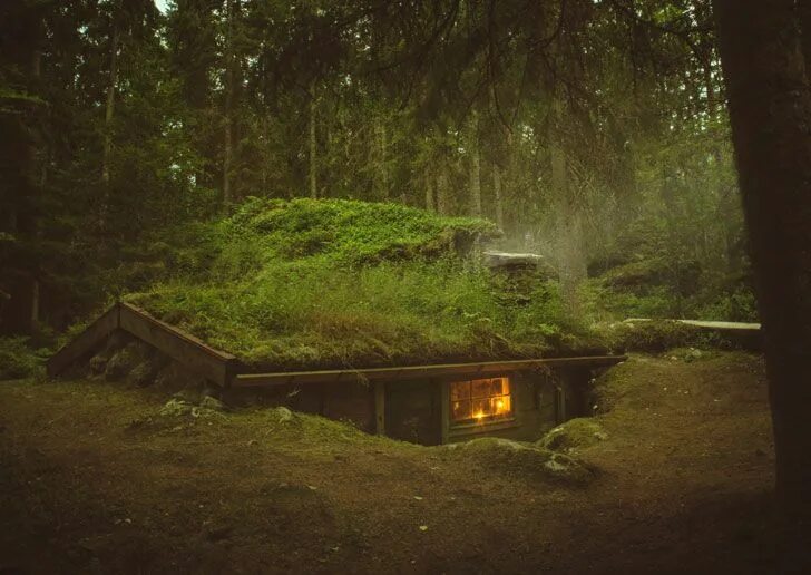 Pin on Выживание Bushcraft shelter, Shelters in the woods, Earth sheltered homes