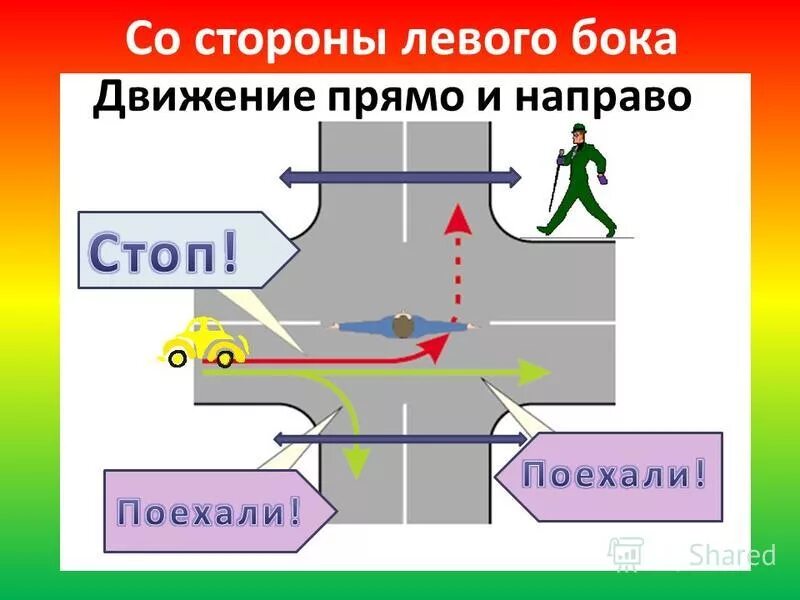 со стороны левого и правого бока