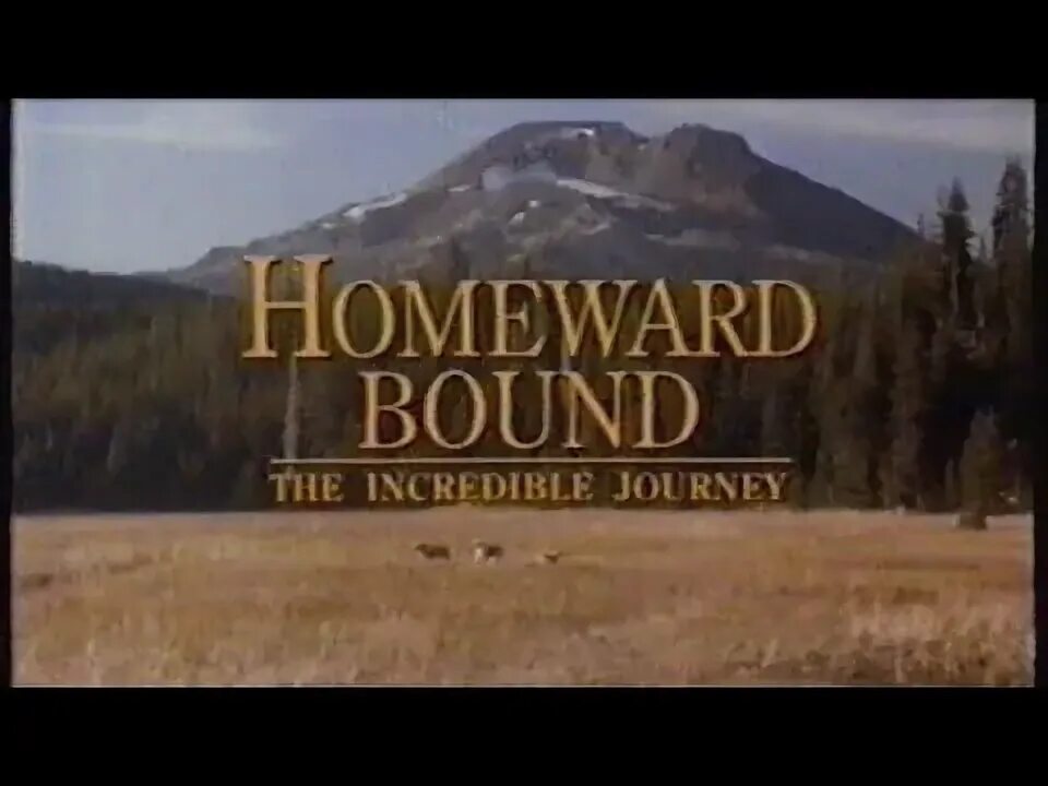 Homeward journey. The incredible Journey. Homeward Path. Homeward bound: Lost and found.