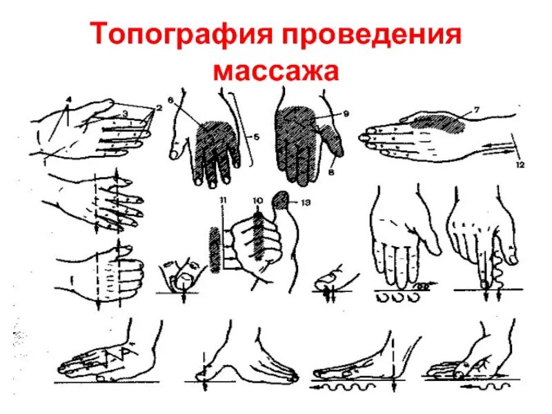 Медицинский массаж алгоритм. Топография проведения массажа. приемы массажа. направление движения рук при выполнении массажных манипуляций. проведение основных приемов массажа алгоритм.