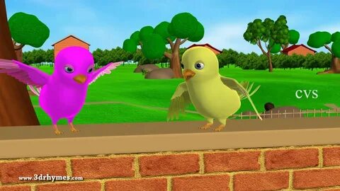 Little birdie