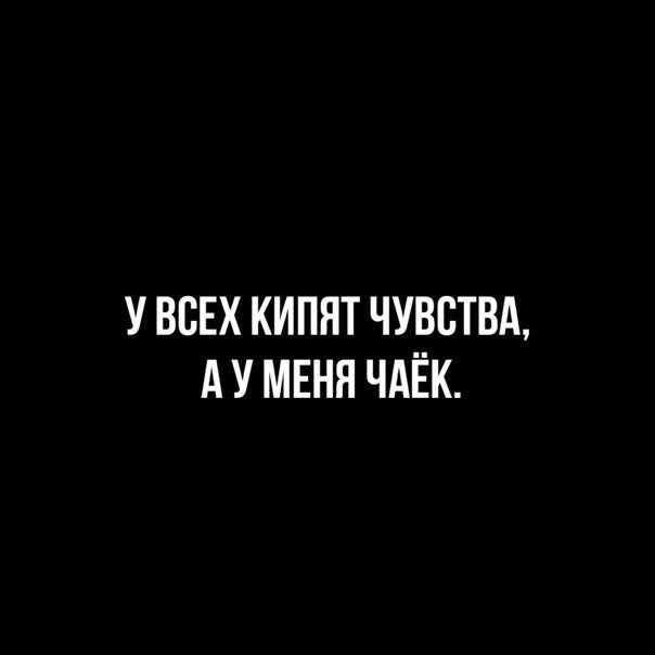 Чувства кипят. У всех кипят чувства а у меня. У всех кипят чувства а у меня чаек. У всех кипят чувства а у меня чаечек. Мем у всех кипят чувства а у меня чаечек.