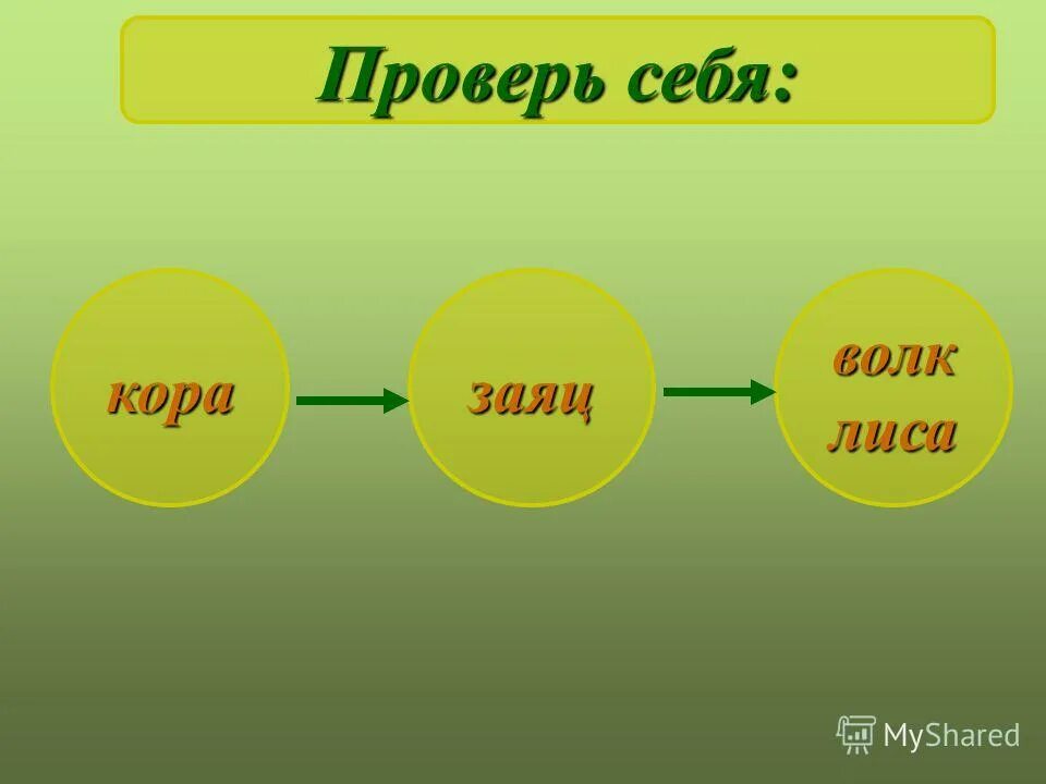 Жизнь леса 2 класс окружающий мир. Цепь питания жизнь леса. Пищевая цепочка леса 4 класс. Цепь питания жизнь леса 4 класс. Цепь питания на тему жизнь леса.