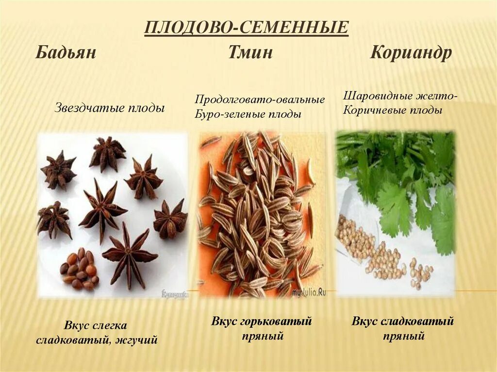 Пряно вкусовые. Семенные пряности. Пряности и приправы. Семенные. Пряности плоды. Чай с пряностями.