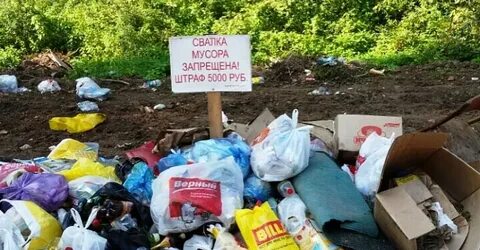 Штраф за свалку