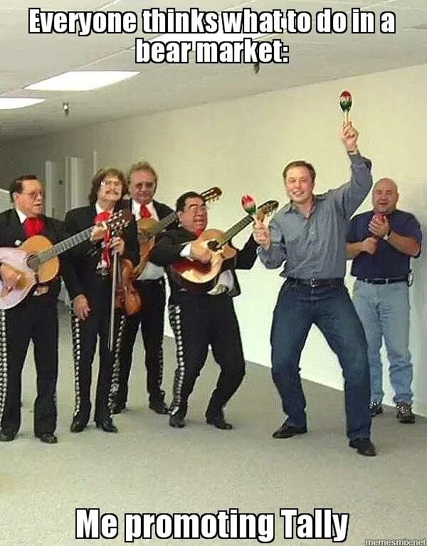 Танцующий илон маск. Илон маск. Elon musk dance. Элон маск с маракасами. Танцующий илон маск.