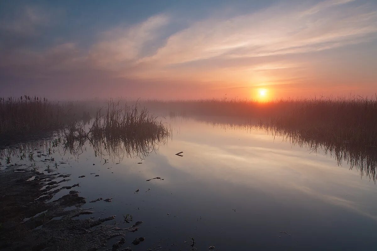 Что значит пелена. Пелена тумана. Пелена фото. Белая пелена восхода. Пелена зимой.