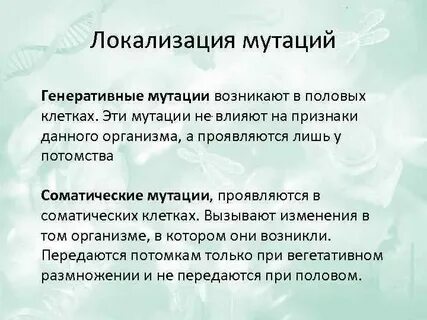Когда и где происходит мутация