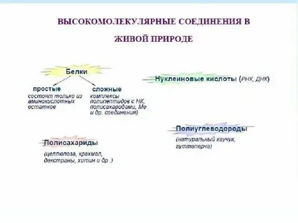 Секреции вещества белковой природы из клетки