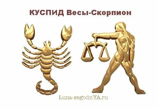 Куспид весы скорпион. Весы и Скорпион. Вес скорпиона. Знак зодиака весы и Скорпион.