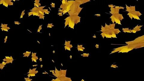 Falling leaves 1.21