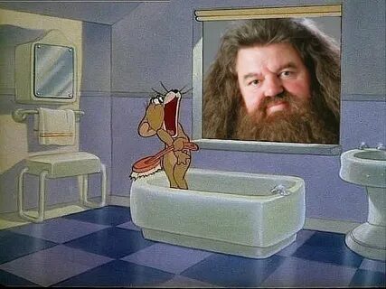 Shower tom