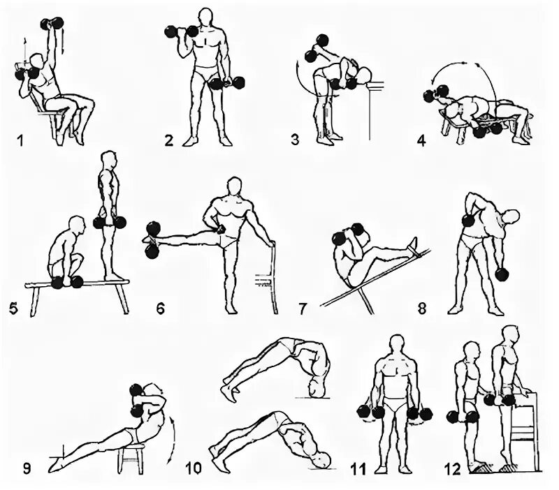 Комплекс общеразвивающих упражнений с гантелями 10-12 упражнений. Комплекс упражнений с гантелями (10-12 упражнений). Упражнения с гантелями для мальчика 10 лет. Упражнения с гантелью для мальчика 10лет.