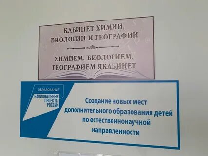 Проект образование 2019