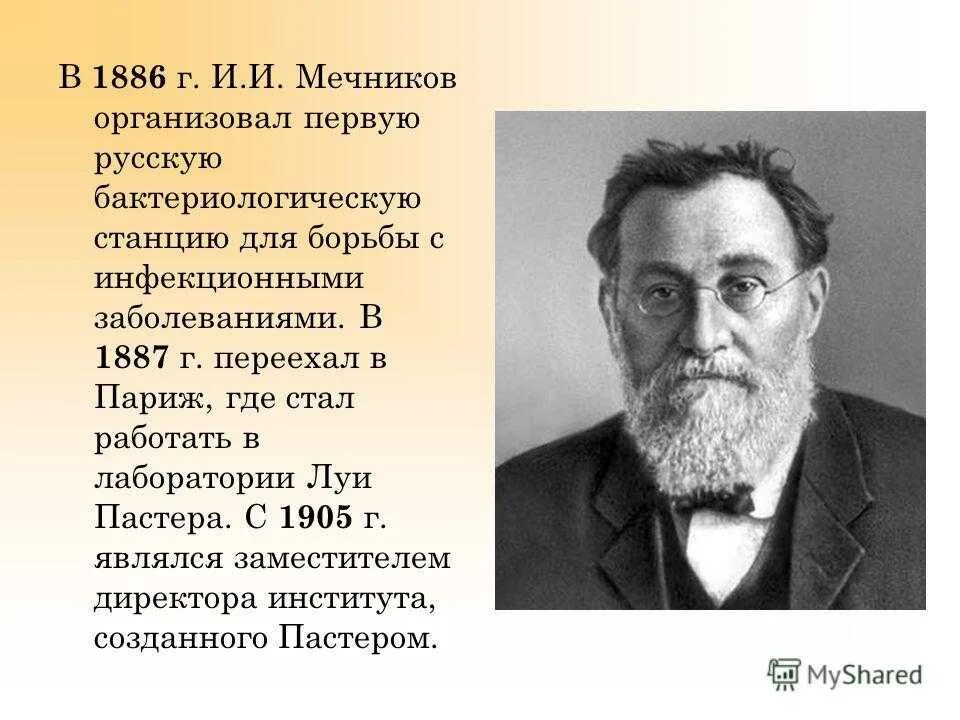 В каком институте работал мечников