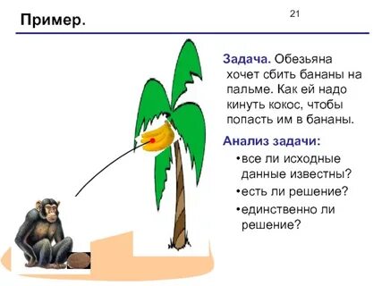 Задача обезьяна