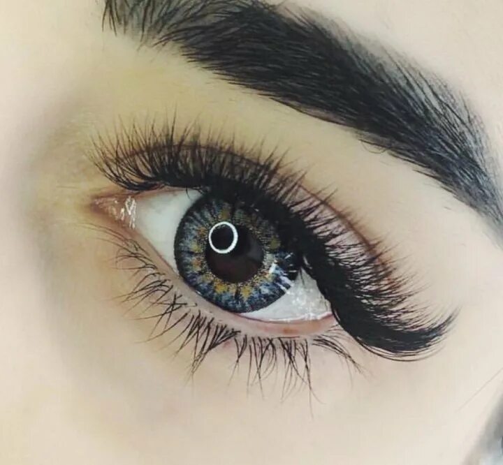 Лисий кукольный беличий эффект. Лисий эффект д. Лисий эффект д. Ресницы лисий эффект 1d. Лисий эффект д.