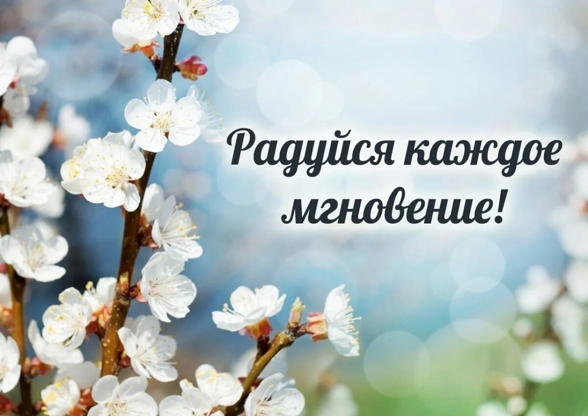 Люблю весну стихи. Стих про весну. высказывания о весне. стихотворение о весне.