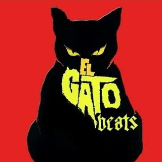 Котик гато
