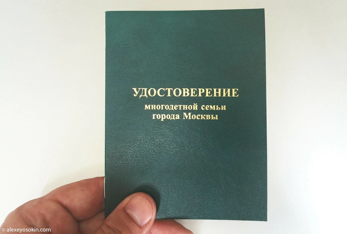 Где подать на многодетную семью