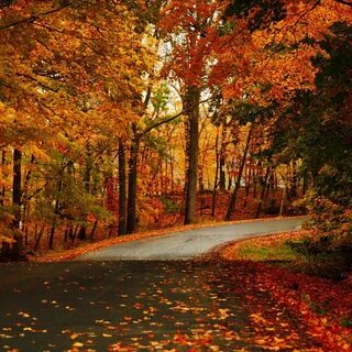 Fall well