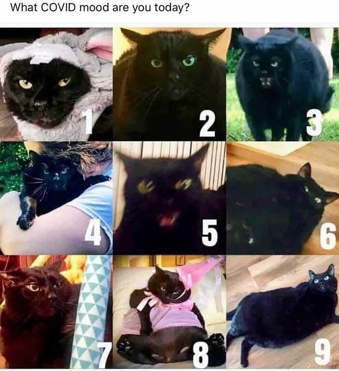 What mood are you today. What is your mood today. Choose your mood for today. Which mood are you today. Mood be like