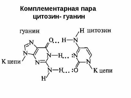 Нуклеотид гуанин комплементарен