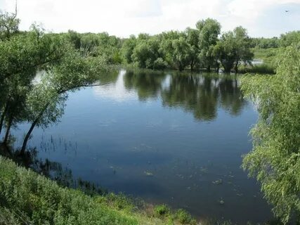 Красный яр саратовской