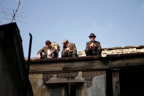 Жизнь мишки япончика 2011
